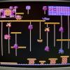 ZZZ sqdqdsqDonkey Kong Junior (Nintendo - 1983).jpg